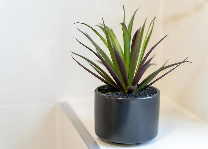 Sea Heaven, Kanica Daire Rogoznica (Sibenik-Knin)